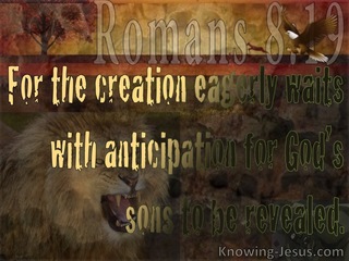 Romans 8:19 The Whole Creation Groans (brown)